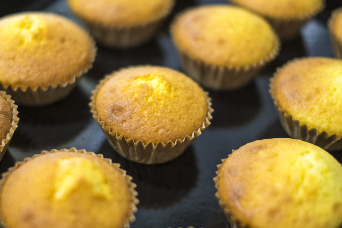 フィーユマドレーヌ